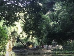 -成都市活水公园