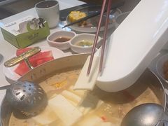 -洪氏嗨捞·广东猪肚鸡·椰子鸡火锅(西咸万象城店)