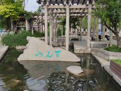 -百花洲