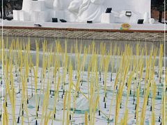 -长春公园(普阳街道)