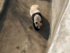 -无锡动物园·太湖欢乐园