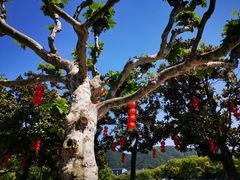 -溪口-滕头旅游景区