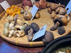 -滇野云南野生菌餐厅(陕西南路店)