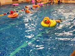 -西吉马游泳健身(协信店)