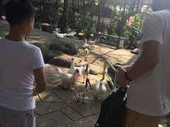 -东芭乐园