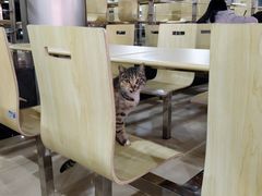 大堂-东华大学第一食堂(松江校区店)
