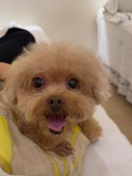 -欧缇娜美甲美睫皮肤管理