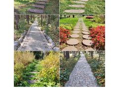 -黑龙江省森林植物园