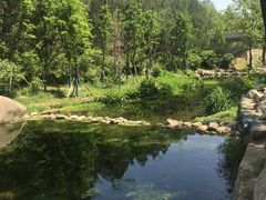 -白水寺森林公园