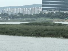 -闽江夜游台江旅游码头