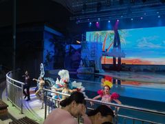 -三亚海昌梦幻海洋不夜城