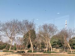 -武汉紫薇都市田园