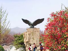 -北京鹫峰国家森林公园