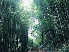 -西湖风景区十里琅珰-五云山