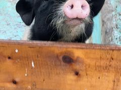 -华谊兄弟（长沙）电影小镇