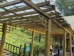 -莫尔道嘎国家森林公园