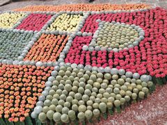 -南通洲际绿博园