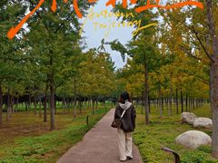 -汉长安城未央宫国家考古遗址公园