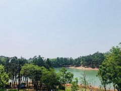 -南京市无想山景区