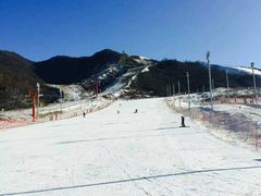 -骏途旅游