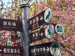 -昆明动物园