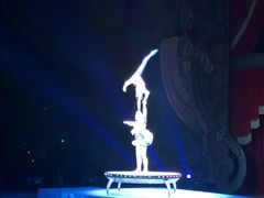 -珠海横琴长隆《卡卡虎奇遇记》