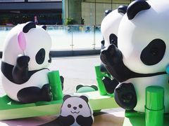 -东莞松山湖万象汇