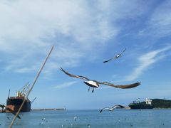 -海驴岛(荣成市)