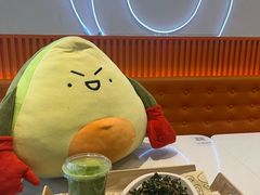 -油梨树 AVOCADO TREE(亮马桥店)