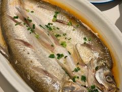 清蒸白鱼-丫丫蟹庄·苏式园林农家乐·阳澄湖大闸蟹(阳澄湖莲花岛店)