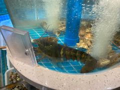 -大哈福烧烤·海鲜·家常菜(延安三路店)