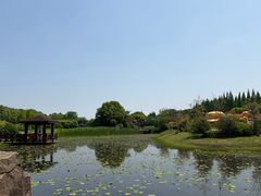 -宜兴龙背山森林公园