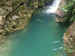 -南海湾森林生态园