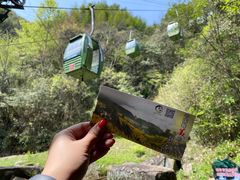 -大鄣山卧龙谷景区