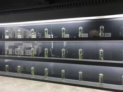 -李时珍纪念馆