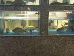 -紫光园(顺义店)