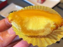 -采蝶轩