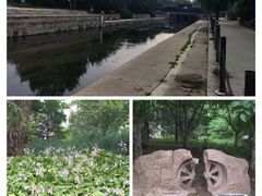 -元大都城垣遗址公园