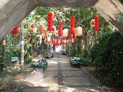 -广西壮族自治区药用植物园