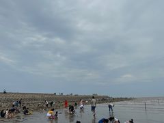 -东疆建设开发纪念公园