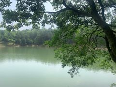 -南京市无想山景区