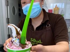 -Salud撒露欧洲冻酸奶(798艺术区店)