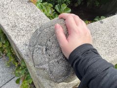 -南普陀寺