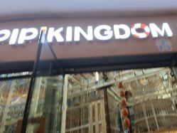 -PIPIKINGDOM皮皮王国欢乐号(欢乐海岸购物中心店)