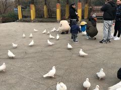 -无锡动物园·太湖欢乐园