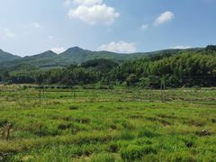 -仙霞关景区