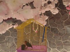 -蓝鲸湾汤泉(包河店)