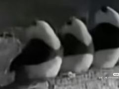 -自然风素食自助餐厅(黄河北路店)