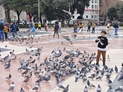 -加泰罗尼亚广场