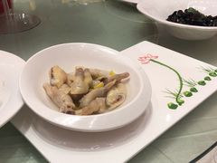 -白金汉爵大酒店(相城店)